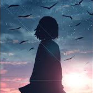 Meet your Posher, Donovan